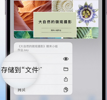 广西apple维修中心分享iPhone文件应用中存储和找到下载文件