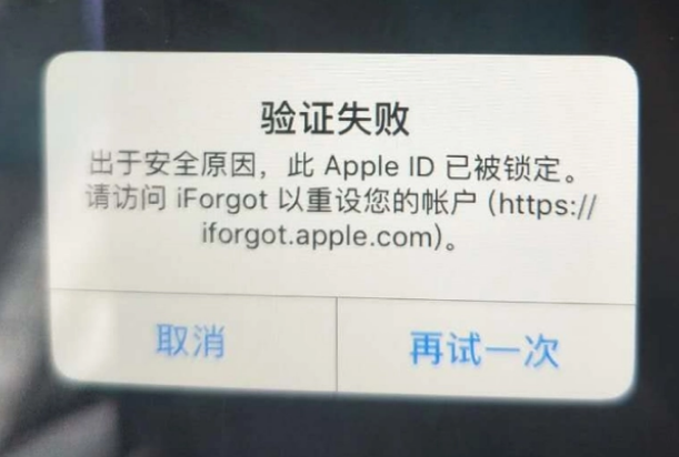 广西iPhone维修分享iPhone上正常登录或使用AppleID怎么办 