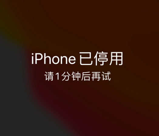 广西苹果手机维修分享:iPhone 显示“不可用”或“已停用”怎么办？还能保留数据吗？ 