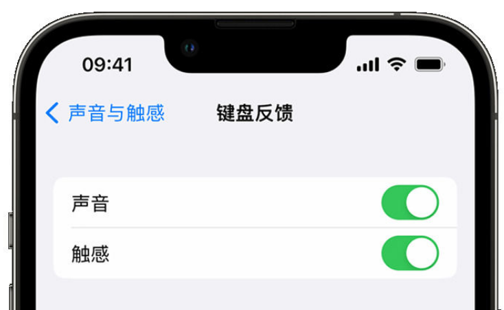 广西苹果手机维修分享iPhone 14触感键盘使用方法 