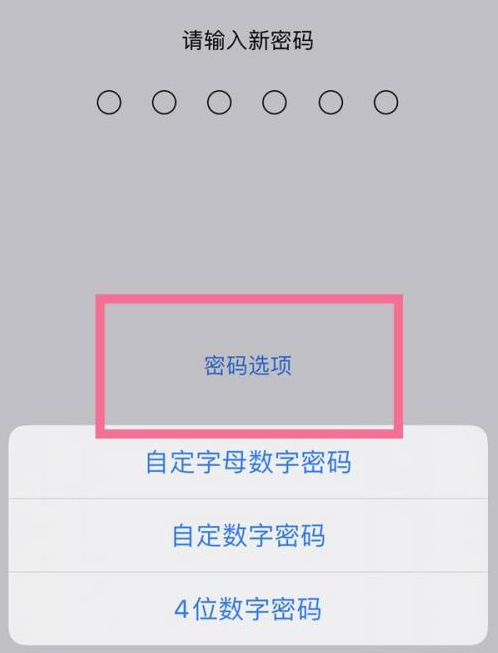 广西苹果14维修分享iPhone 14plus设置密码的方法 