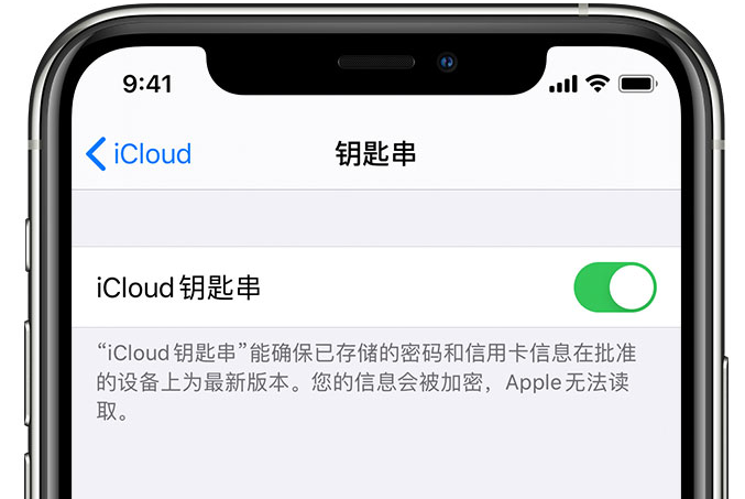 广西苹果手机维修分享在 iPhone 上开启 iCloud 钥匙串之后会储存哪些信息 