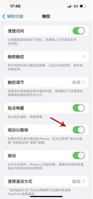 广西苹果手机维修分享iPhone手机如何设置摇一摇删除文字 