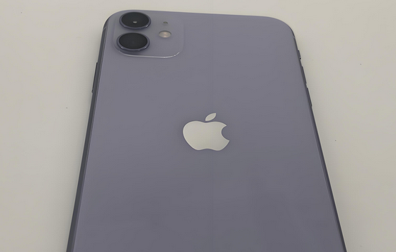 广西苹果11系统维修分享iPhone11手机系统崩溃无法开机如何解决 
